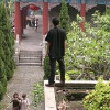 微风中的蛤蟆