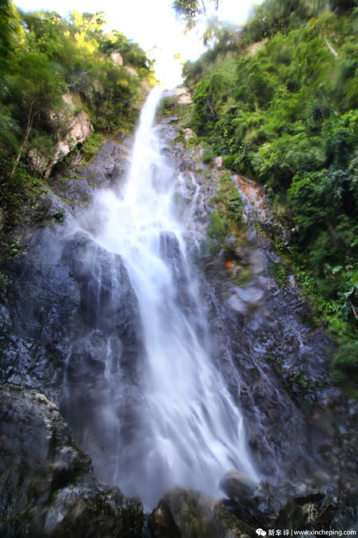 深入海南鹦哥岭 跟着斯巴鲁寻找中国生态英雄