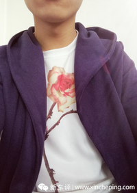 為什么在品牌找車，吉利里面找不到帝豪GS？？