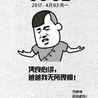 关于自编牌照