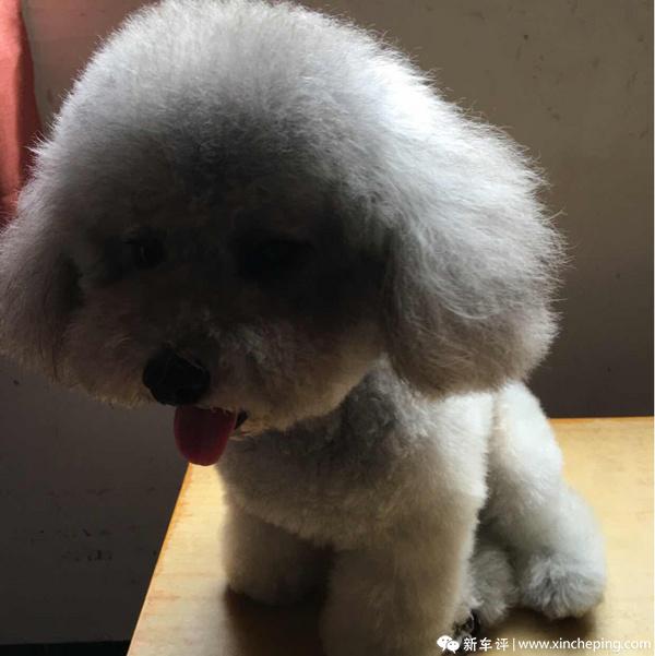 关于手动波问题
