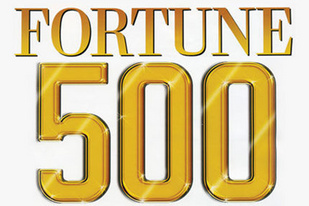 6家中国车企入选2017巜财富》世界500强