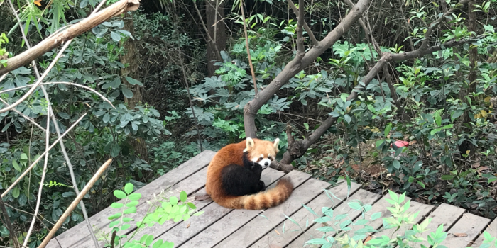 不能上传竖版的照片做封面，不开心；这次把呼伦贝尔的游记补上了