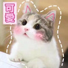 挚爱今生