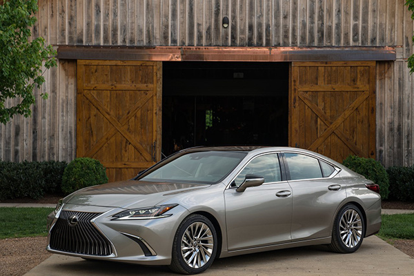 ׿˹6·18178춯ռ34.3%