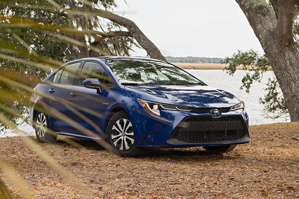 Ϊ󣬷Ͷ7000ŷڶ綯޼