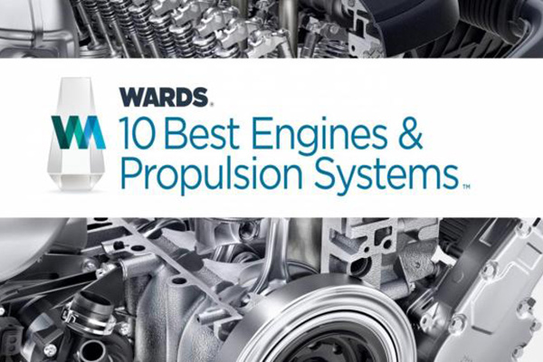 ֵʮѷ¯ڽѡִǿΧ