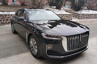 红旗H9申报图曝光：搭载2.0T发动机，可选配双色车身