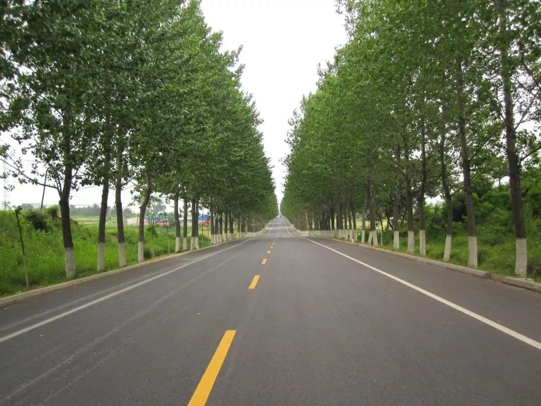 城乡周边旅游消费,《措施》还将加快三级及以下县(乡)道与高速公路,国