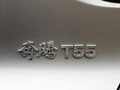 117519-奔腾T55