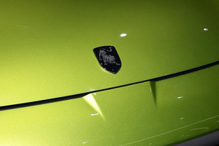 国产“兰博基尼”出山，东风风行将于6月统一更换劲狮标