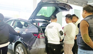 “新能源”高增长 “自主品牌”很强韧