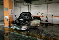 比亞迪秦Pro EV自燃：比亞迪回應 事故原因正在調查