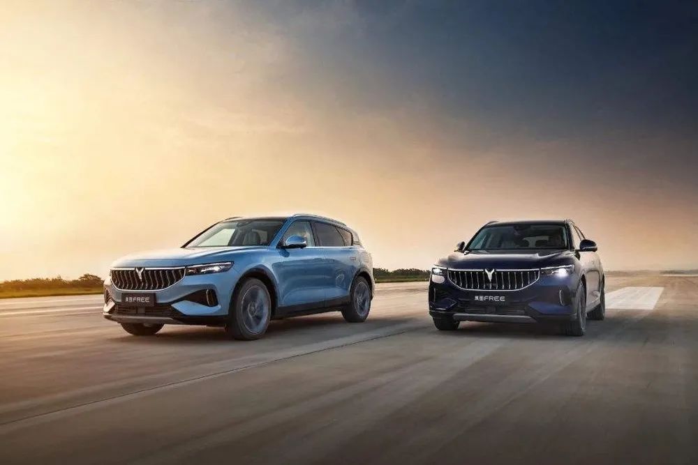 岚图FREE，凭什么叫TA是30万豪华SUV“搅局者”？