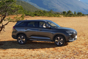 532024-02-21关键词:新车理想汽车mega最能装的mpv?