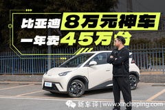 一年賣45萬(wàn)臺(tái)，比亞迪海鷗賣得好就是好車嗎？