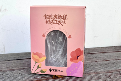 水培郁金香套裝