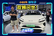 中型SUV新標(biāo)桿，比亞迪海獅06EV / DM-i