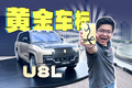 比亚迪第一款黄金车标，竟然是它？
