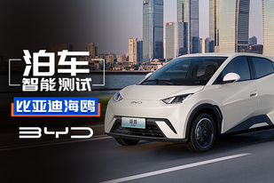 最低不到8萬！海鷗智駕版泊車好用嗎？