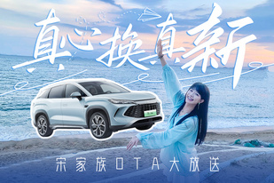 銷量王集體換新車？比亞迪這波虧大了！