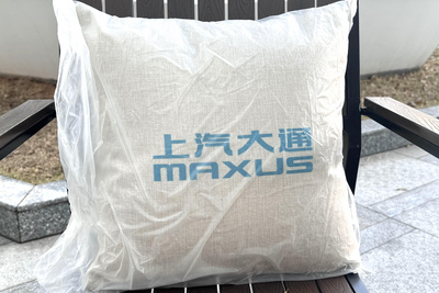 大抱枕