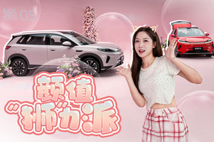 全新海狮05 超100项全系标配