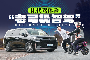 辅助驾驶“地狱级”挑战，代驾老司机都惊呆了！