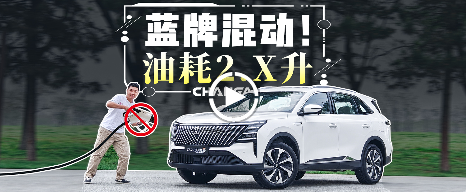 油耗“3字头”蓝牌SUV、同价最高配置，让插混情何以堪？